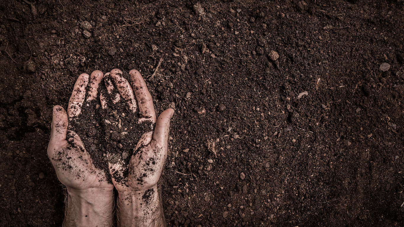 Farm hands that help work the land Statistics Canada